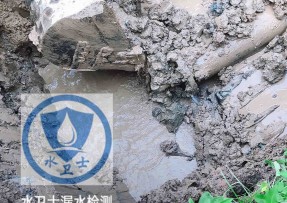 福鼎水管漏水检测公司5